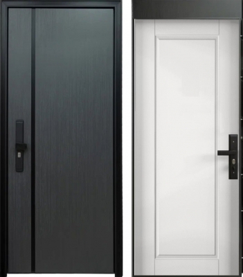 Дверь Цербер 101